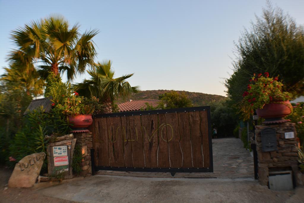 Residence L'Ulivo 布多尼 外观 照片